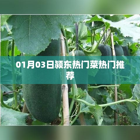 颍东热门菜推荐榜揭晓,不容错过的美食盛宴