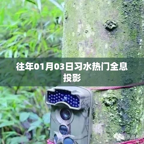 习水热门全息投影,历年一月初上演的视觉盛宴