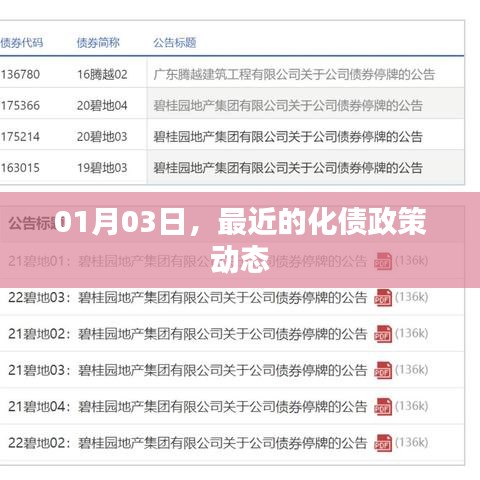 最新化债政策动态解析,关注日期至一月三日
