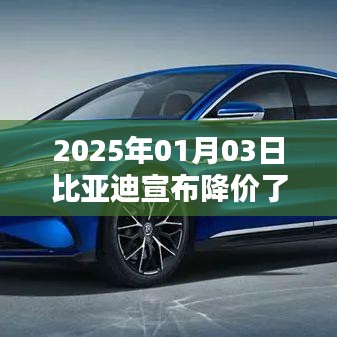 比亚迪宣布降价幅度,日期揭晓!