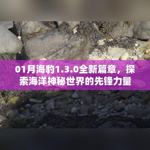 探索海洋新篇章，海豹1.3.0引领神秘之旅