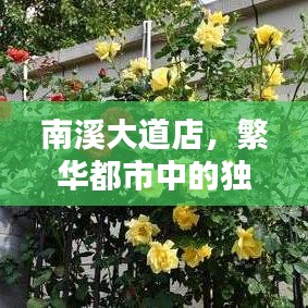 南溪大道店,都市独特商业地标