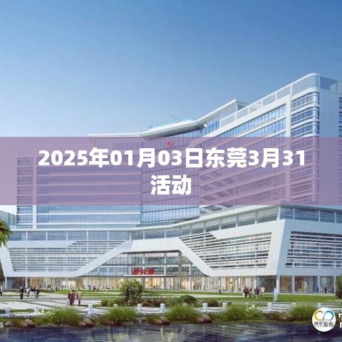 东莞三月活动预告，2025年3月31日精彩活动回顾