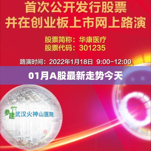 最新A股走势分析，今日市场动向