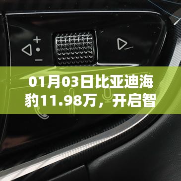 比亚迪海豹新春新价，智能出行新篇章开启
