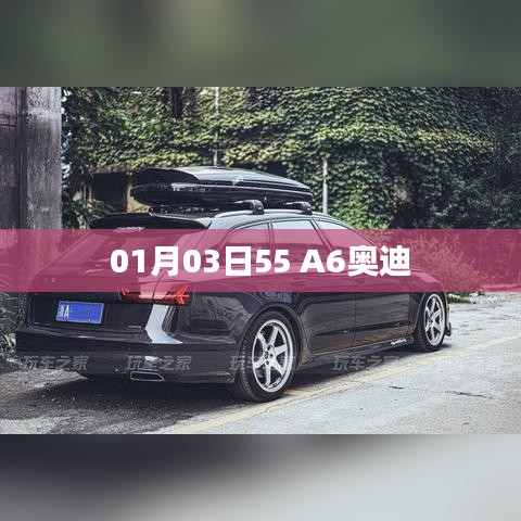 组织架构 第80页