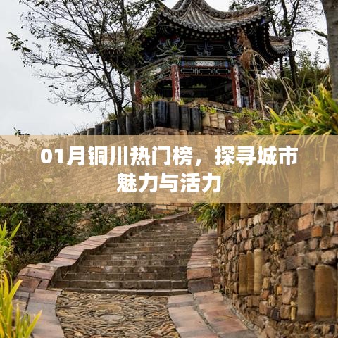 铜川热门榜，探寻城市魅力与活力