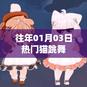 猫舞狂欢,历年一月三日盛况回顾