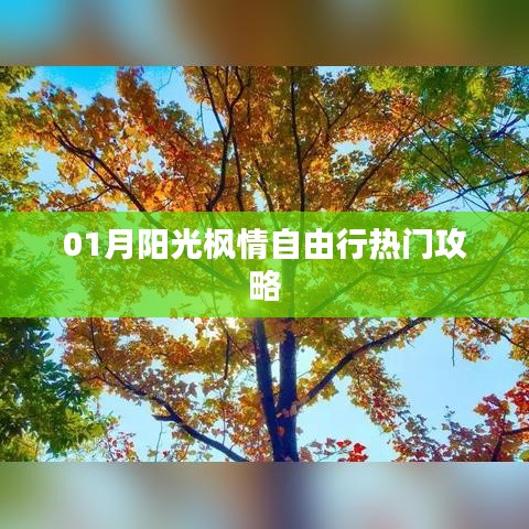 一月阳光枫情自由行攻略大全