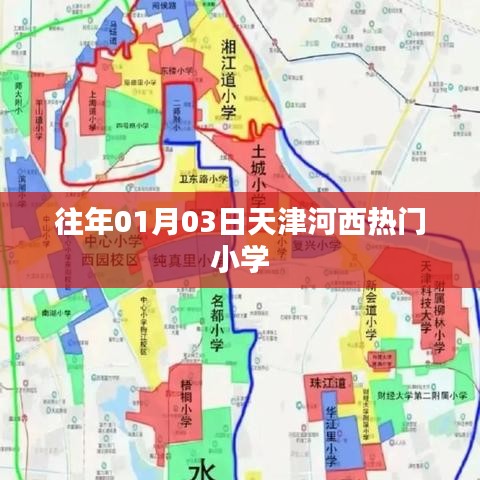 天津河西小学往年入学热点解析