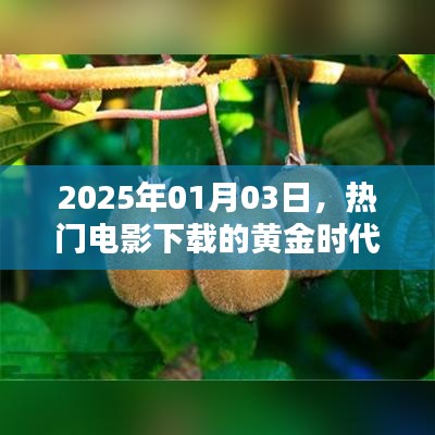 热门电影下载黄金时代，2025年展望