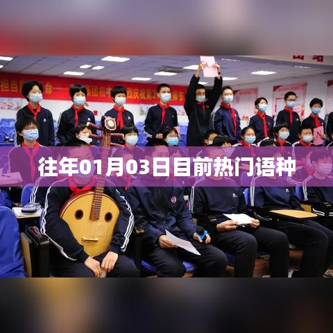 全球热门语言趋势，历年一月三日最新动态分析