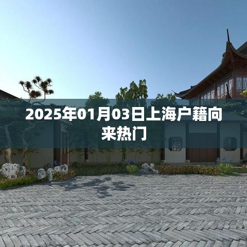 上海户籍持续热门，探讨背后的原因