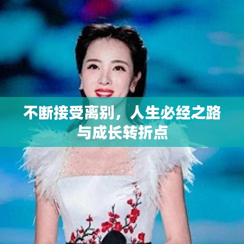 不断接受离别,人生必经之路与成长转折点