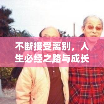 不断接受离别，人生必经之路与成长转折点
