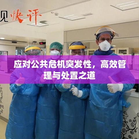 应对公共危机突发性，高效管理与处置之道