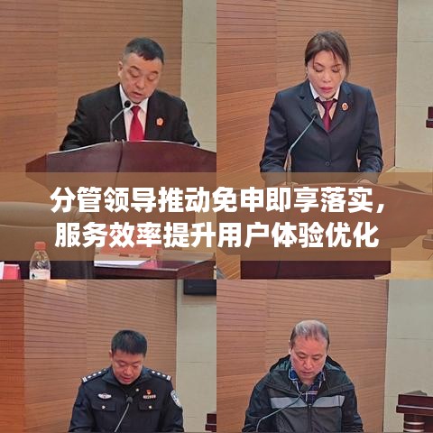 分管领导推动免申即享落实，服务效率提升用户体验优化
