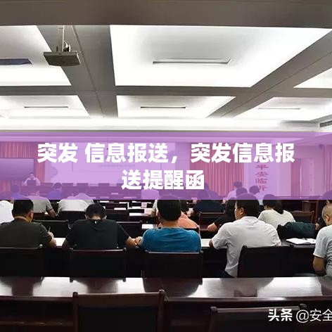 突发 信息报送,突发信息报送提醒函