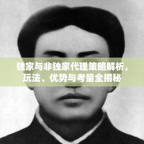 独家与非独家代理策略解析,玩法、优势与考量全揭秘