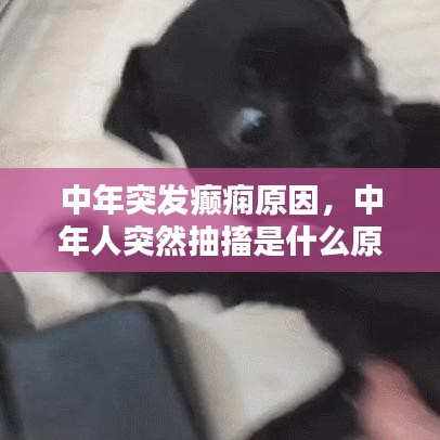 中年突发癫痫原因,中年人突然抽搐是什么原因