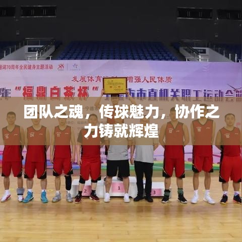 团队之魂，传球魅力，协作之力铸就辉煌