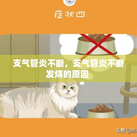 支气管炎不断,支气管炎不断发烧的原因