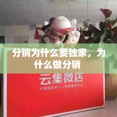 分销为什么要独家,为什么做分销