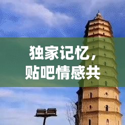 独家记忆，贴吧情感共鸣与独特故事分享