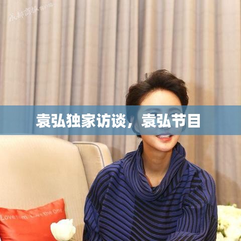 袁弘独家访谈，袁弘节目 