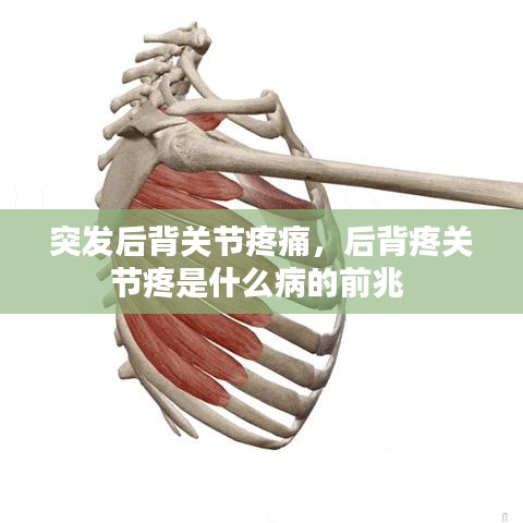 冲压设备 第74页