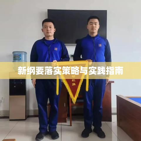新纲要落实策略与实践指南