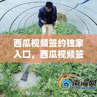西瓜视频签约独家入口,西瓜视频签约独家有什么好处