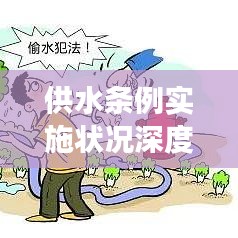 供水条例实施状况深度剖析