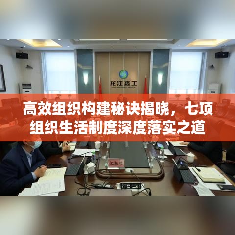 高效组织构建秘诀揭晓,七项组织生活制度深度落实之道