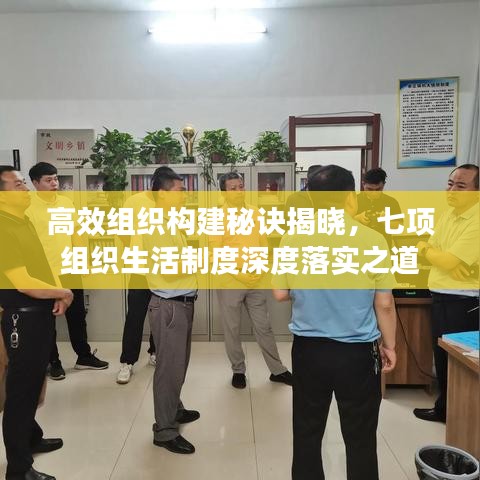 高效组织构建秘诀揭晓,七项组织生活制度深度落实之道