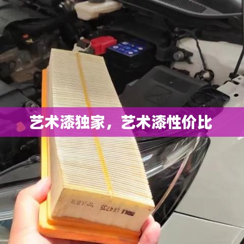 艺术漆独家，艺术漆性价比 