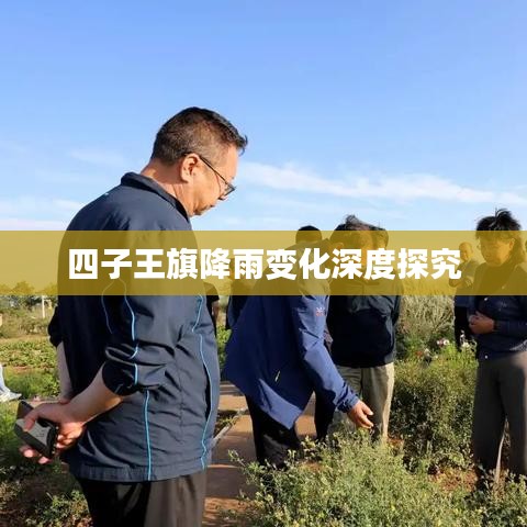 四子王旗降雨变化深度探究