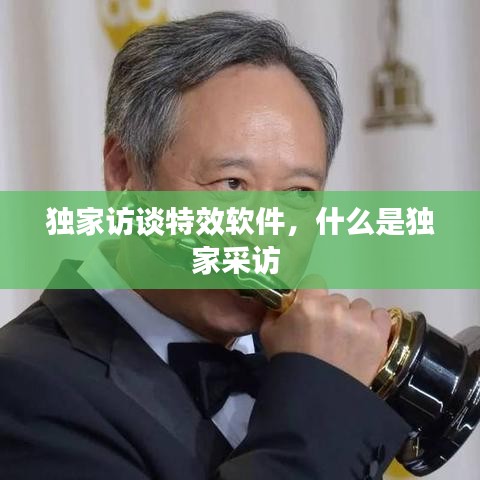 独家访谈特效软件,什么是独家采访