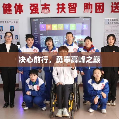 决心前行，勇攀高峰之巅