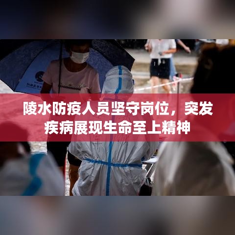 陵水防疫人员坚守岗位，突发疾病展现生命至上精神