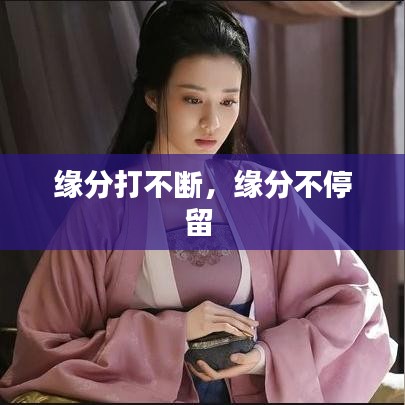 缘分打不断,缘分不停留