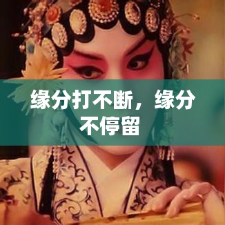 缘分打不断,缘分不停留