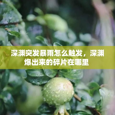 深渊突发暴雨怎么触发，深渊爆出来的碎片在哪里 