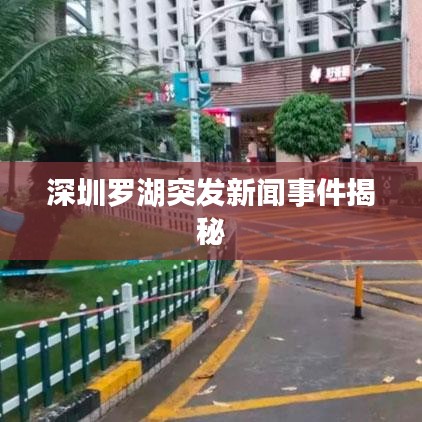 深圳罗湖突发新闻事件揭秘