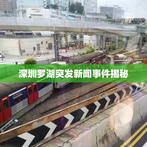 深圳罗湖突发新闻事件揭秘