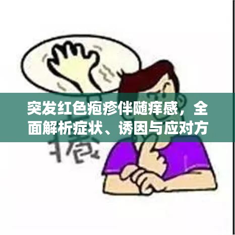 突发红色疱疹伴随痒感，全面解析症状、诱因与应对方法