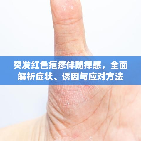 突发红色疱疹伴随痒感,全面解析症状、诱因与应对方法