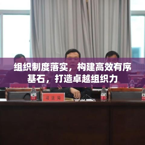 组织制度落实,构建高效有序基石,打造卓越组织力