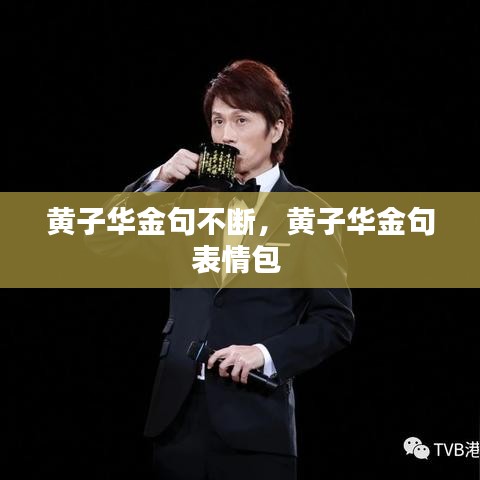 黄子华金句不断,黄子华金句表情包