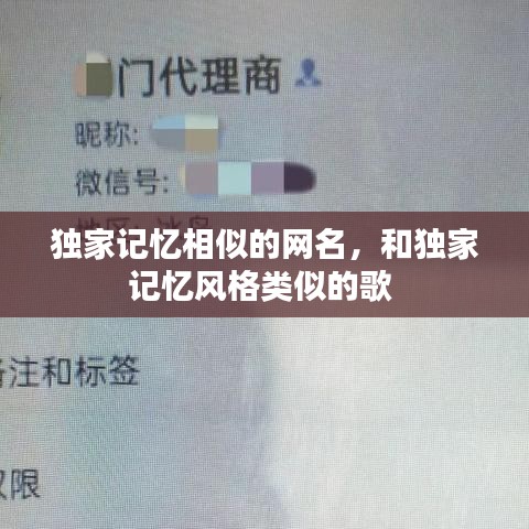 独家记忆相似的网名,和独家记忆风格类似的歌